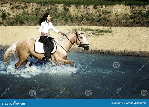 Riding In Water Stock Image Image Of Color Astride Courser 5555573