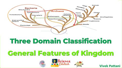 Three Domain System Of Biological Classification Youtube