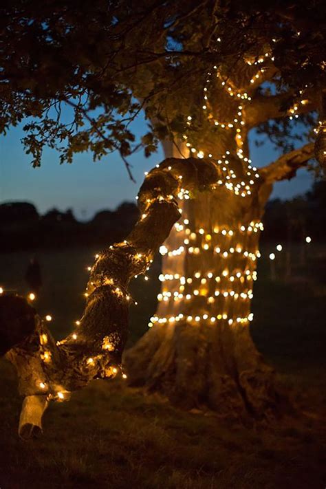Evening Wedding Vibes Fairy Lights In Trees Fairy Lights Woodland