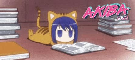 Akiba GIFs Find Share On GIPHY