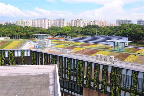 Average salary for temasek holdings employees in singapore. Elmich Green Roof & Wall at Temasek Polytechnic, Singapore | Elmich Pte Ltd
