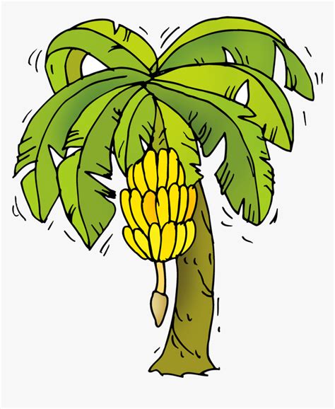 Clipart Banana Tree