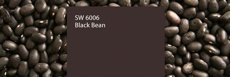 Sherwin Williams Color Of The Month Black Bean Sw 6006 Sherwin