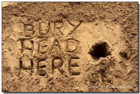 Quotes About Head In The Sand 44 Quotes