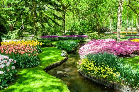 Keukenhof tulip gardens are open from march 20 till 9 may 2021. Lentekriebels in de Keukenhof 2019 - Vakantieblog