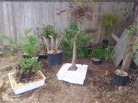 In just 2 days of putting an ad on Craigslist for unwanted landscape