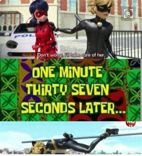 Pin By Euphoriajikook24 On Miraculous Ladybug And Chat Noir