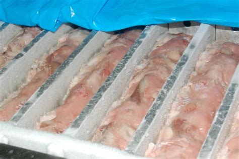 Thaw Frozen Fish Faster And Retain Quality Eurofish