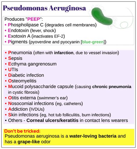 Pseudomonas Aeruginosa Medicine Keys For Mrcps