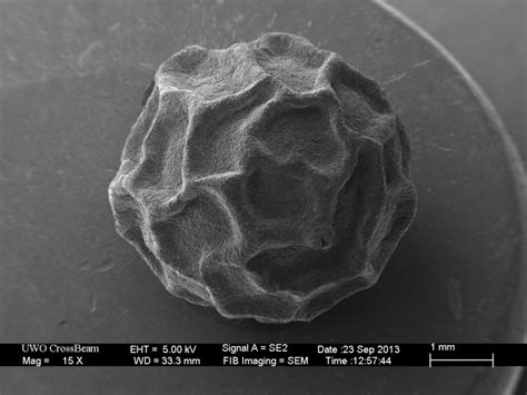 Check spelling or type a new query. Gallery: Electron Microscope Images | Trente