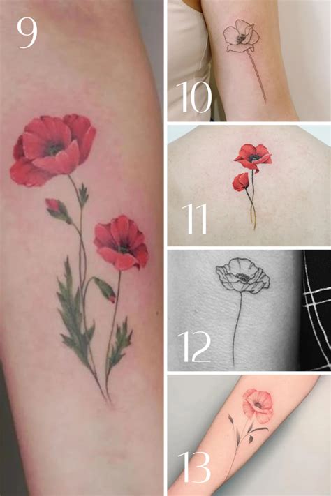 August Birth Flower Tattoos Poppies Gladiolus Tattooglee Birth