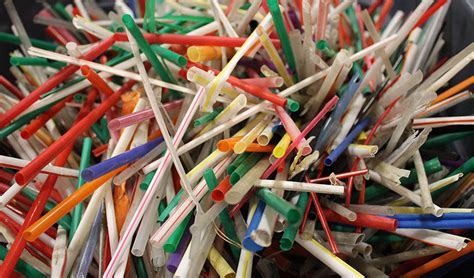 Why Plastic Straws Are A Problem And What You Can Do Green That Life