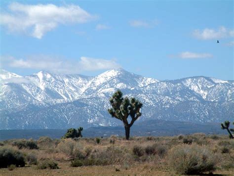 We did not find results for: Damn Near Perfect Couple: Southern to Northern California