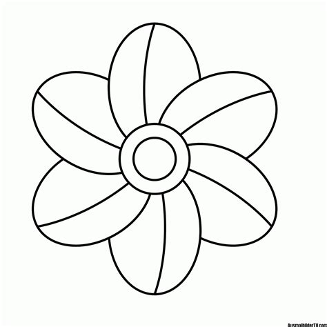 Tabaluga reitet einen delphin ausmalbild malvorlage sonstiges. blumen malvorlage | Ausmalbilder Kostenlos - Bilder Zum ...