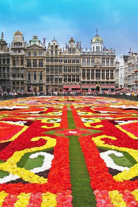Brussels Flower Carpet Ultimate Guide 2024 Dates And Tips For Your