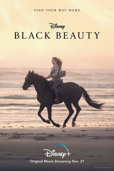 This movie is another case. Black Beauty movie review & film summary (2020) | Roger Ebert