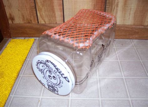 Plastic Container Hamster Carrier