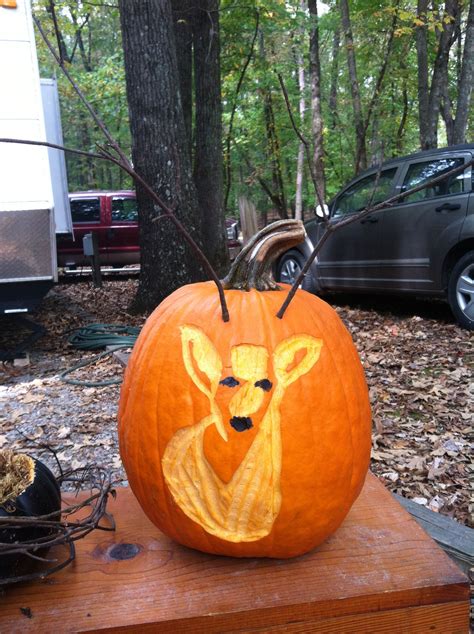 Pin By Amy Humphries On Woodland Pumpkins Pumpkin Carving Pumpkin