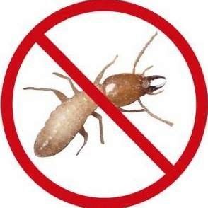 Our skilled team can get rid of ants, cockroaches, squirrels, bats and nearly any other pest. Diverse Termite Control