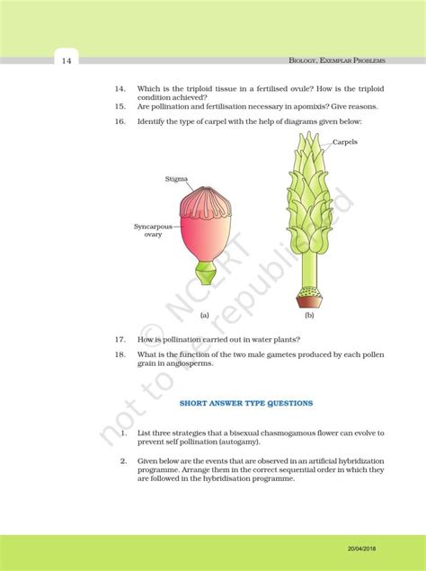 Ncert Exemplar Book For Class 12 Biology Chapter 2 Sexual Reproduction In Flowering Plants