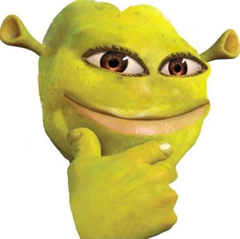 Shrek Got A Glow Up So You Like It If You Dont He Will Eat You In