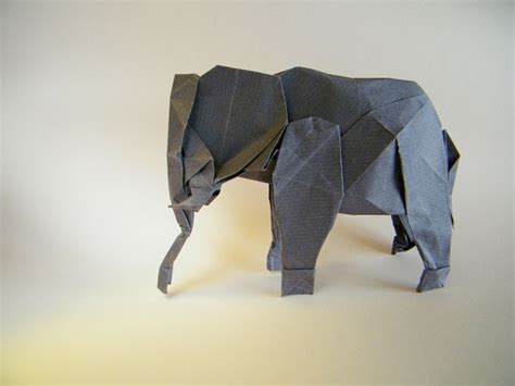 African Elephant Miyamoto Chuya By Rui Roda African Elephant