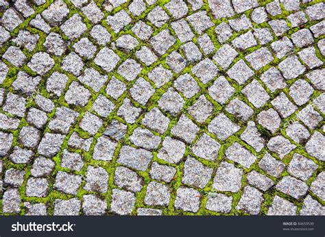 Cobblestone Pavement With Moss Growing Between Stones Stock Photo