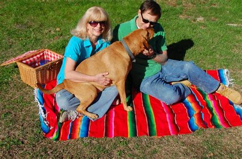 14 Essentials For A Perfect Picnic With Your Dog - BarkPost