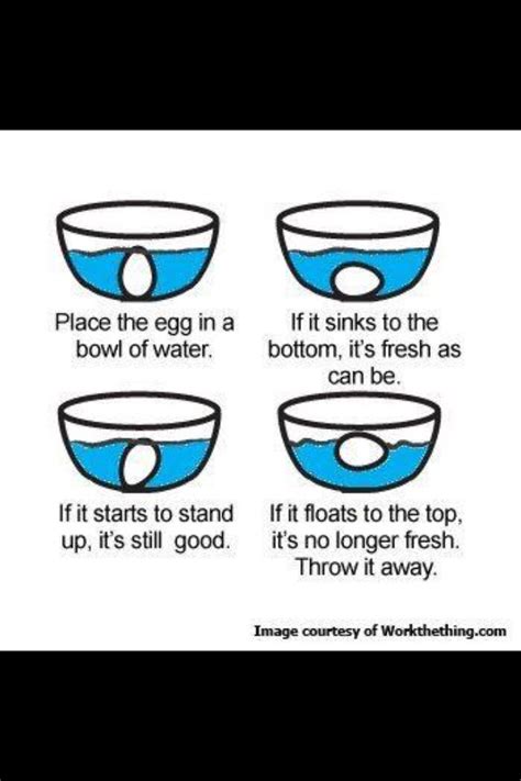 Are eggs that float good? How to tell if an egg is still good! (With images) | Good ...