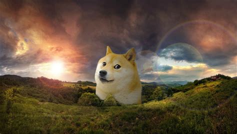 This rule has been expanded to cover 'forced' doge posts that. 76+ Doge Meme Wallpapers on WallpaperPlay