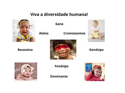 Plano De Aula 9o Ano Os Genes E As Características Hereditárias