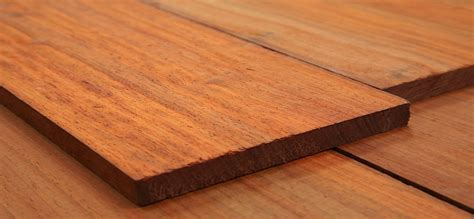 Padauk Wood Supplier & Exporters - Faith Lumber