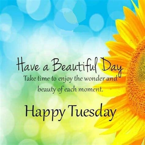 These funny tuesday quotes are a great way to start a workday at the front end of the week. Happy Tuesday Funny and Inspirational Quotes