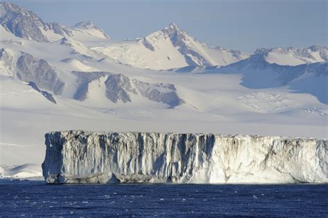 7 Cosas Que No Sabías Sobre El Polo Norte Y Van A Sorprenderte