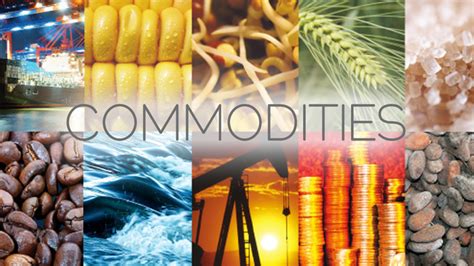 List Of Commodities Board In India Export Promotional Councils Epc