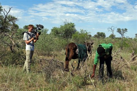 Tumelo And The Central Kalahari Game Reserve National Geographic