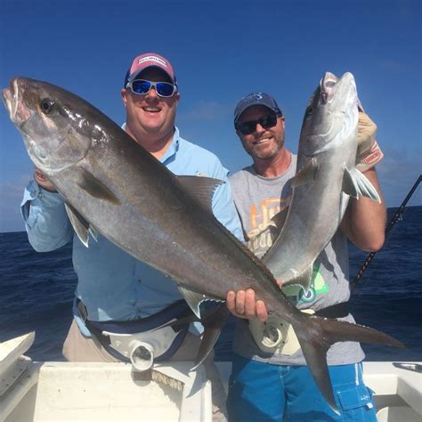 Amberjack Fishing Tips Reef Donkey Canaveral And Cocoa