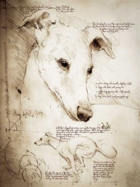 Arte De Galgos Pintura Perro Retratos De Perros