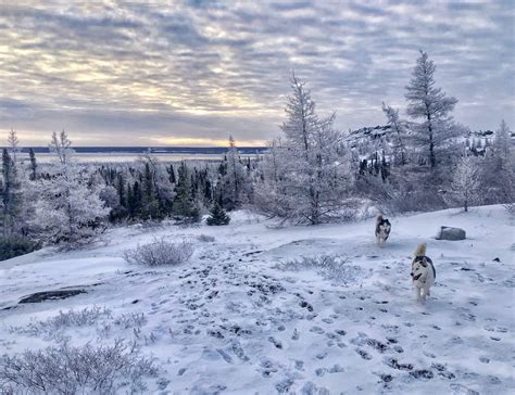Winter wonderland | Nunatsiaq News