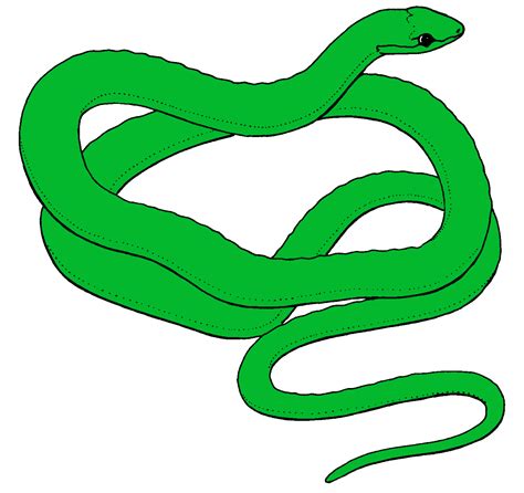 Snake Clip Art Clipart Free To Use Resource Wikiclipart