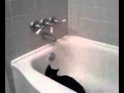 Often, a leaky bathtub faucet can be fixed, but if the diverter will no longer force water up to the shower without leaking, it is time for a replacement. Kitty turning on bathtub faucet - YouTube