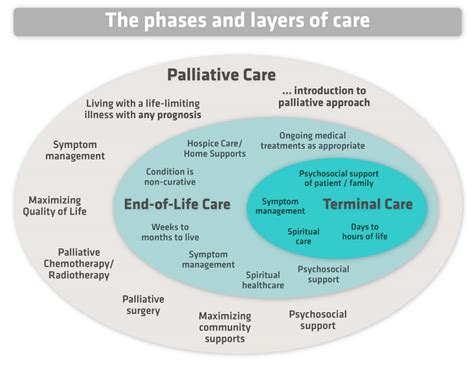 Palliative Care Definition Examples And Forms