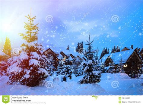 Christmas Winter Landscape Stock Image Image Of Happy 101188331