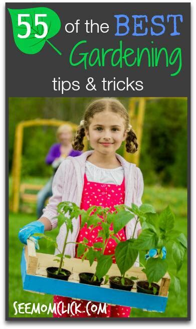 55 Of The Best Gardening Tips And Tricks See Mom Click