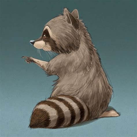 A Drawing Of A Raccoon Sitting On Its Hind Legs And Looking At Something