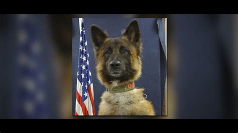 Terre Haute K 9 Named In Honor Of Fallen Officer Receives Protective