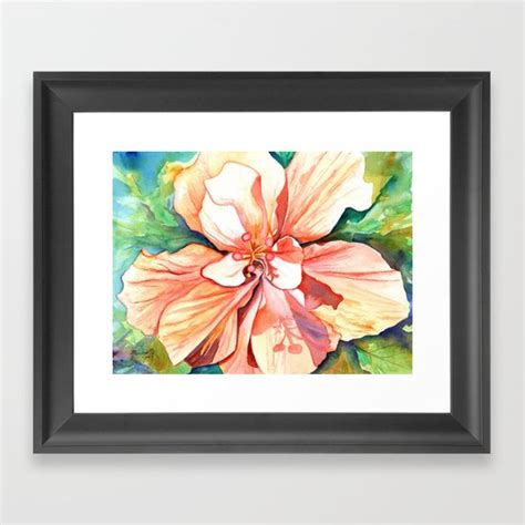 Double Peach Tropical Hibiscus Framed Art Print By Marionette Taboniar