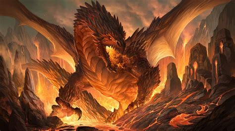 Wizard Dragon Wallpapers Top Free Wizard Dragon Backgrounds