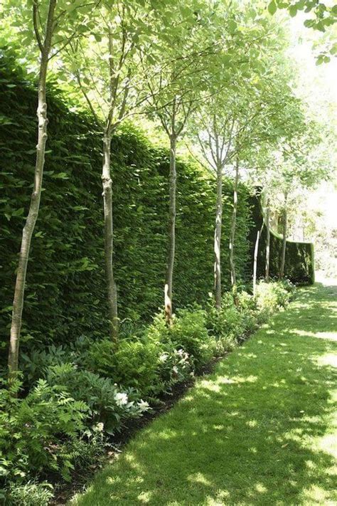 60 Wall Garden Ideas And Inspiration Golly Gee Gardening