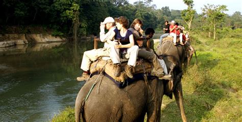 Jungle Safari Tour Wildlife Tour Packages Adventure Bound Nepal